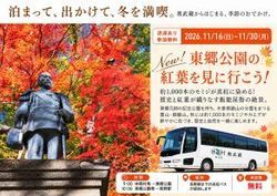 東郷公園の紅葉を見に行こう！！
