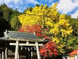 黄色と赤の鮮やかなコントラスト　徳山神社