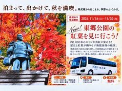 東郷公園の紅葉を見に行こう！！