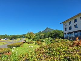 お盆期間中のランチ営業