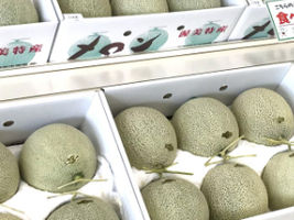 秋でも渥美特産メロンが買える！食べられる！お店はココ