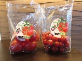 残念!!とまと最終入荷!?