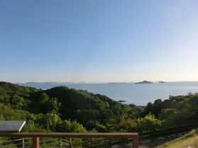 朝のお散歩会!
