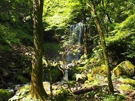 日光で滝を見るならここ♪霧降隠れ三滝!!