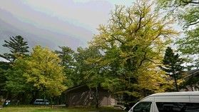奥日光の紅葉が始まっています