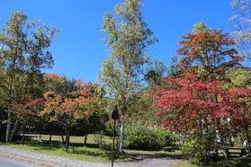日光湯元の紅葉