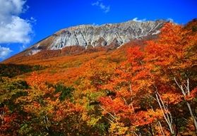 【通行規制のお知らせ】錦秋の大山環状道路を歩こう!