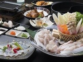 天然クエととらふぐ夢の競演~あなたはどっちがお好み!?~