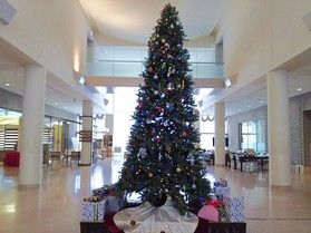 大きなクリスマスツリーがお出迎え☆