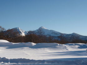 年末年始の空室情報