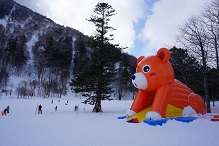 お得なリフト券付き、宿泊プランのお知らせ
