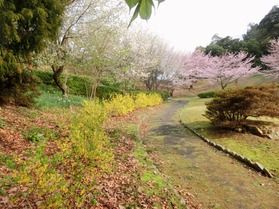 連泊でのんびりと