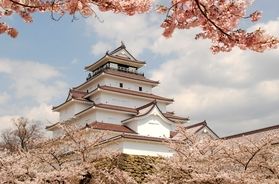 会津若松桜情報