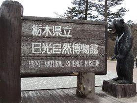 日光自然博物館へ行ってきました!