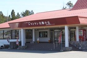 じゅ~じゅ~美味しいランチの動画だヨ!