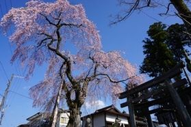 休暇村日光湯元 イベントのご案内