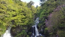 奥日光~初夏のはじまり~