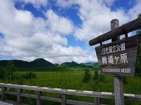 戦場ヶ原へ行ってきました！