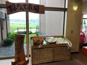 「採れたて市場」情報!!☆