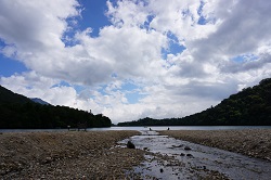 朝の散歩会やっています