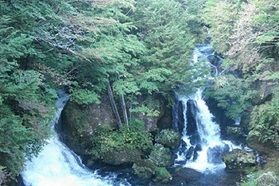 現在の龍頭の滝（紅葉情報）
