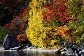 紅葉だけじゃない♪秋の奥日光オススメアクティビティー
