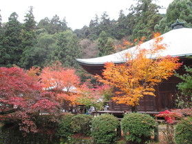 紅葉おすすめスポット♪
