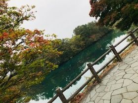 【10月11日現在】~休暇村周辺~紅葉色づき情報