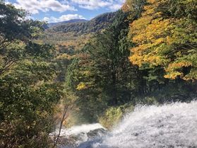 ちょっとお散歩、湯ノ湖ぐるりスポット