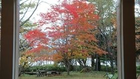 10月下旬紅葉情報