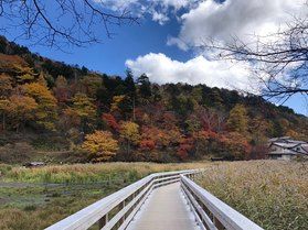 奥日光の紅葉~温泉寺、源泉、温泉神社~