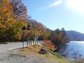 紅葉シーズン後半戦です!