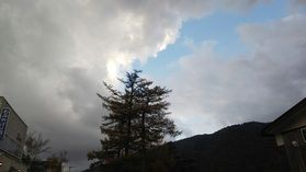 身近で小さな野生生物とのふれあいvol6