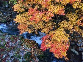 圧倒的芸術センスを求めて・・・②