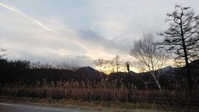 冬支度
