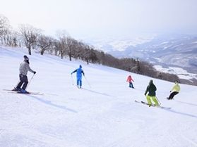 スキー場インフォメーション
