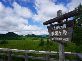 戦場ヶ原、湯滝ハイキング始まります。