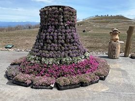 2019年 春の茶臼山高原まつり開催中!