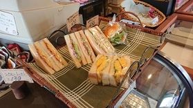 こむぎとさくら♪