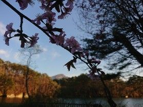 いつ見ても美しい沼!毘沙門沼!!