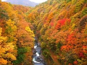 紅葉シーズンのご予約受け付けてます!