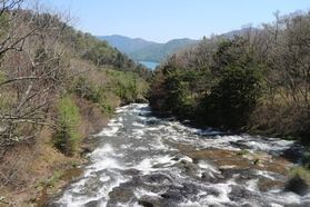 休暇村周辺お花情報