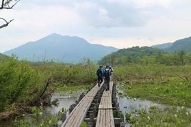旅Ｑ　戦場ヶ原・尾瀬ヶ原ツアー催行致しました
