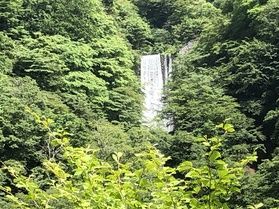 いろは坂の途中の滝