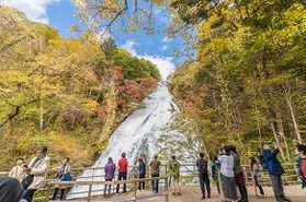 一足早く紹介します♪9月下旬から楽しめる日光紅葉情報