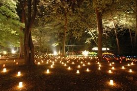 月あかり花回廊は見に行こう