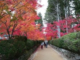 時間を忘れるくらい高野山の紅葉