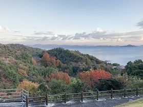 園地の紅葉が見頃!!