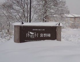 雪がこんなに積もりました!ワクワクFriday22
