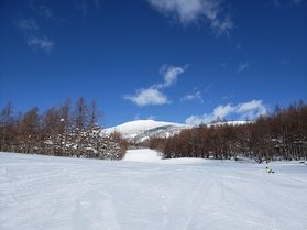 グランデコスキー場の積雪は・・・ごっちゃんお庭(22)